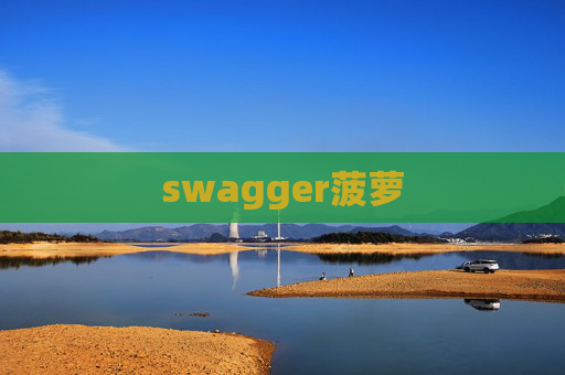 swagger菠萝